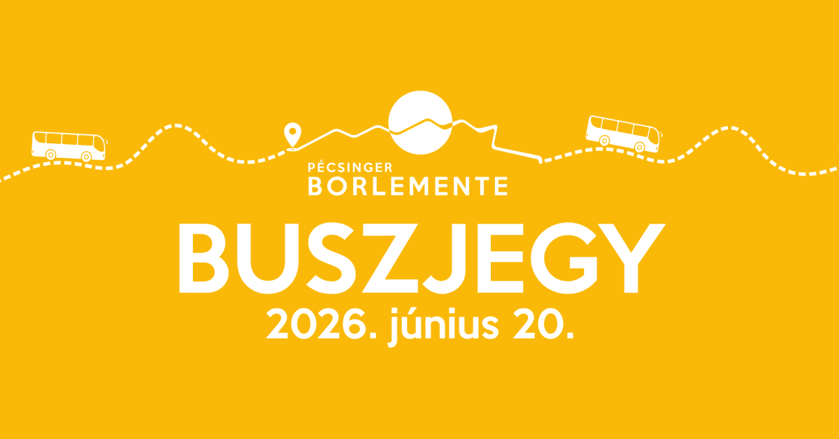 Borlemente buszjárat cover image